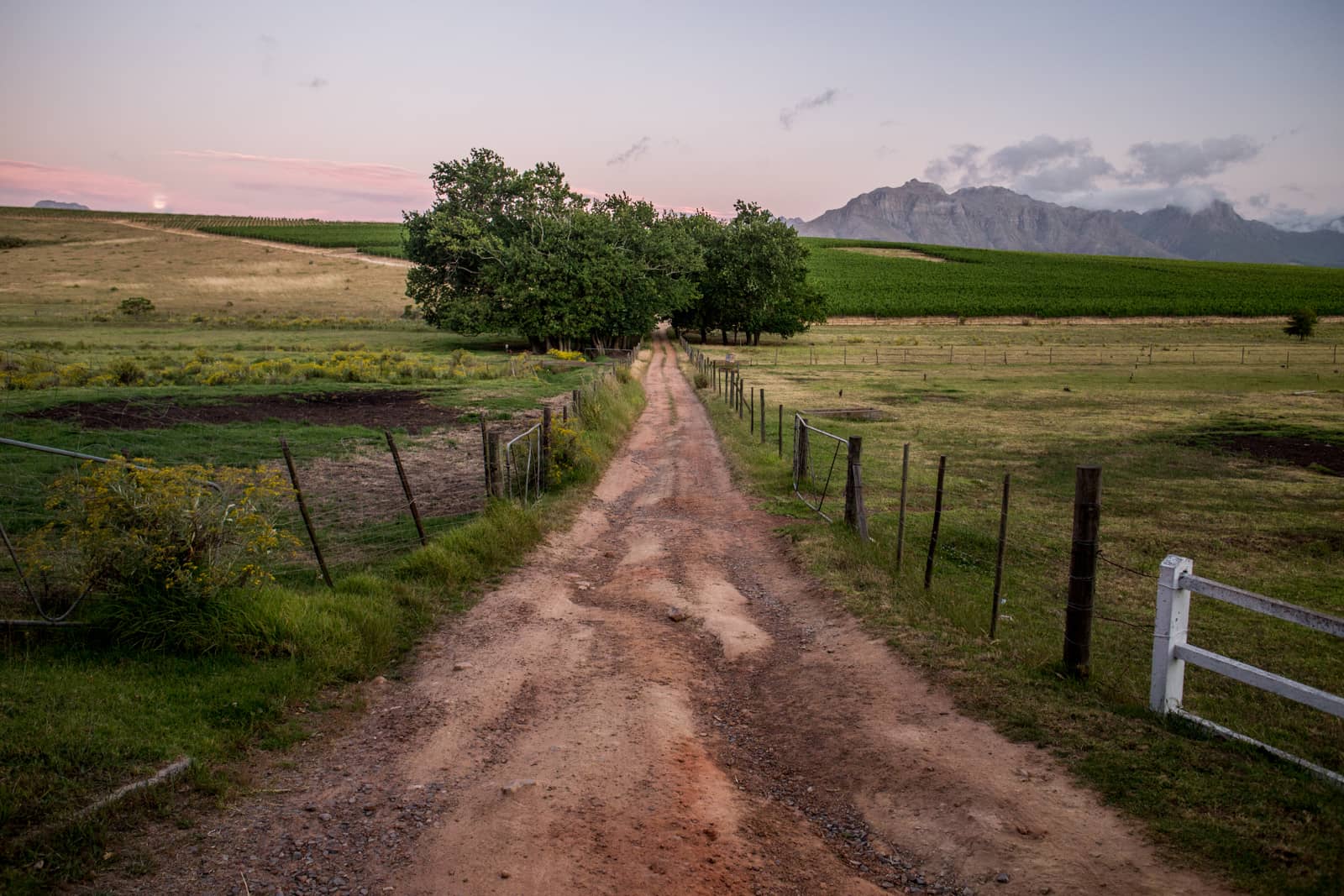Highlights Zuid Afrika