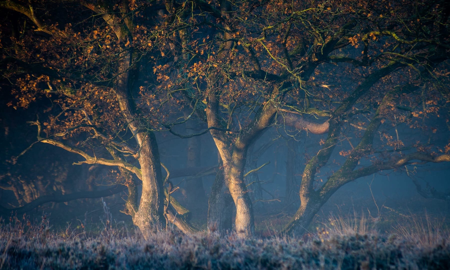 The Inner Critic in Landscape Photography