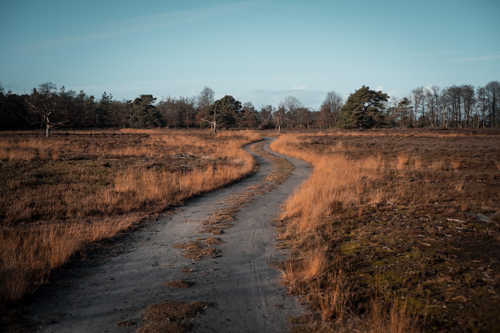 Tweedaagse wandeling Elspeet
